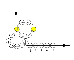 The scheme of decoration for the bride