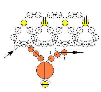 The scheme of the wedding necklace of beads
